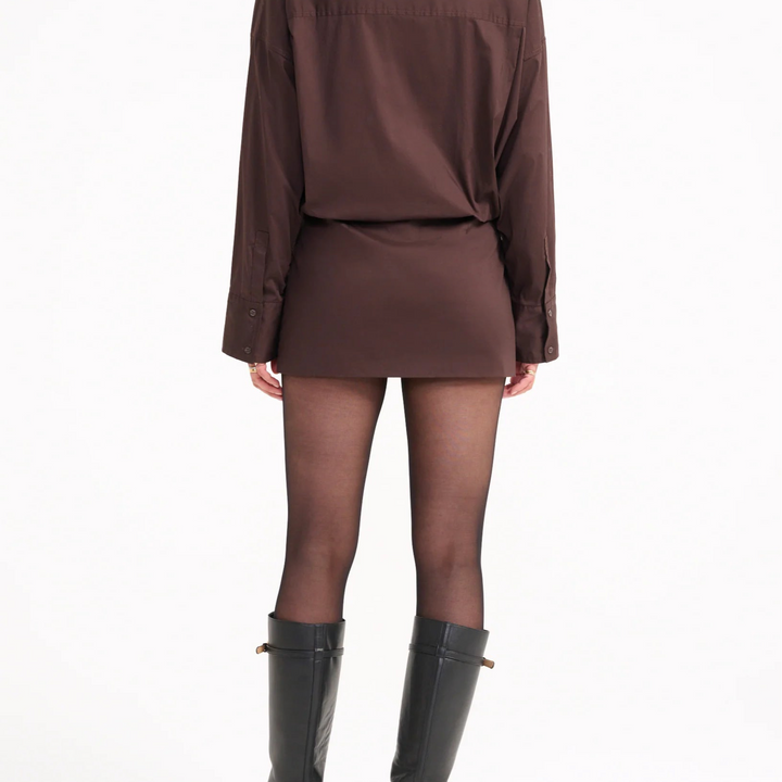 Cynthia Earth Mini Dress