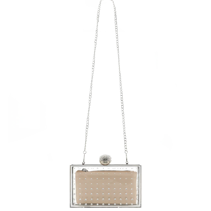 Clear Anna Clutch Bag