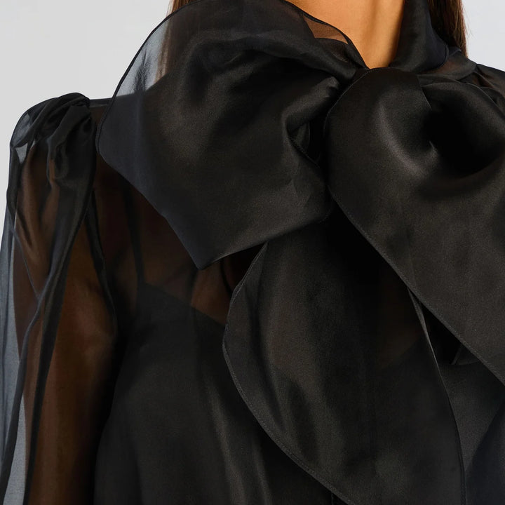 Black Celandine Silk Dress