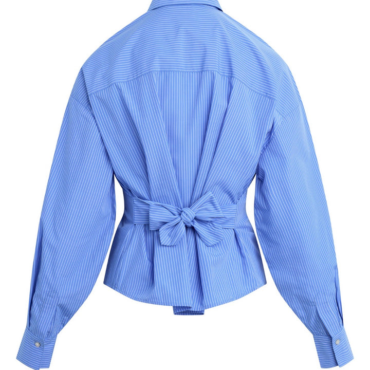 Blue Stripe Back Story Shirt