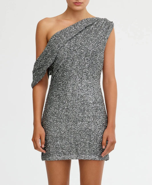 Silver Beau Mini Dress