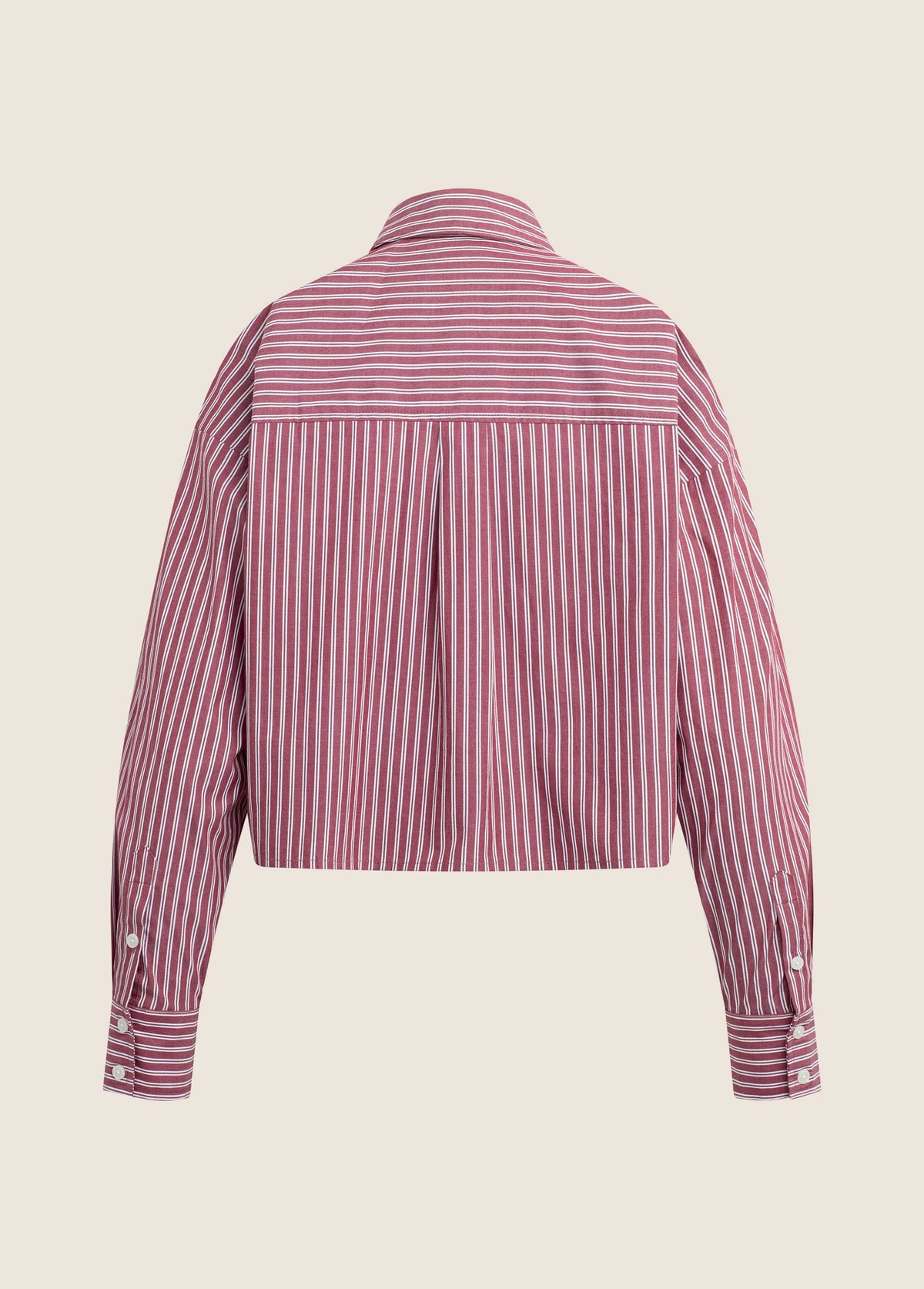 Cranberry Stripe Next Chapter Shirt back flat