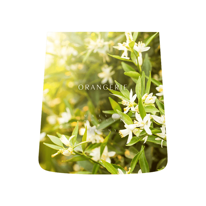 Orangerie | French-Fragrance Candle